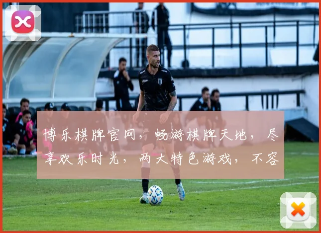 博乐棋牌官网，畅游棋牌天地，尽享欢乐时光，两大特色游戏，不容错过